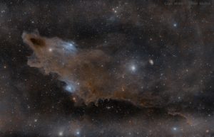 Nebulosa del Tiburón