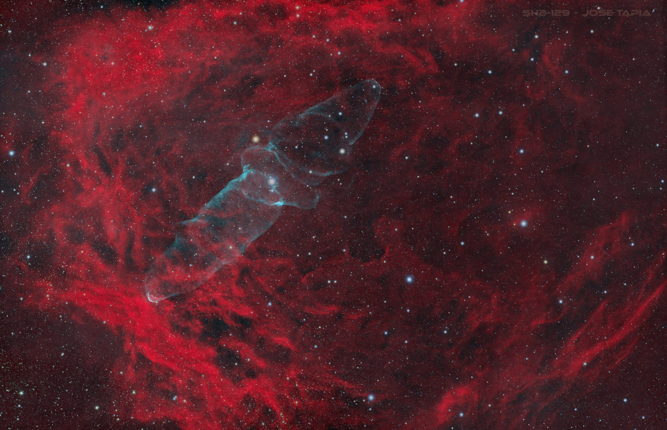 Nebulosa del Calamar