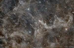 IFN & NGC 7497