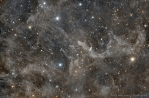 IFN & NGC 7497